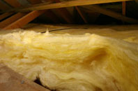 Long Lee pitch roof insulation